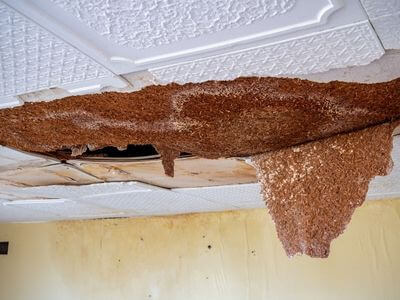 Professional water damage restoration services in Inola - Inola Water Damage Restoration